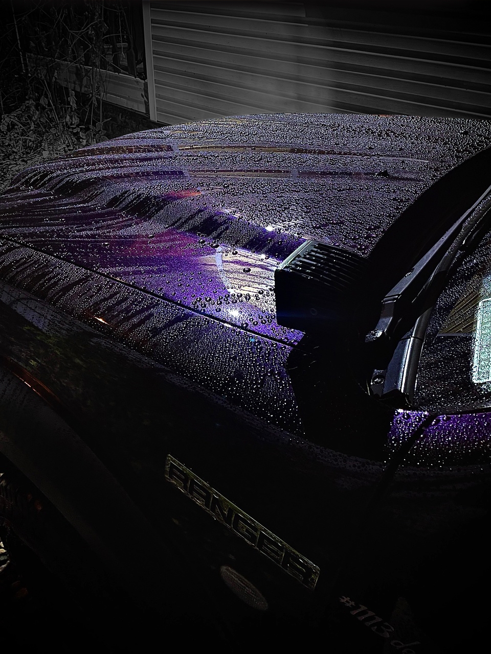 Портрет человека